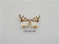 藏品(尺蛾592.1)的圖片